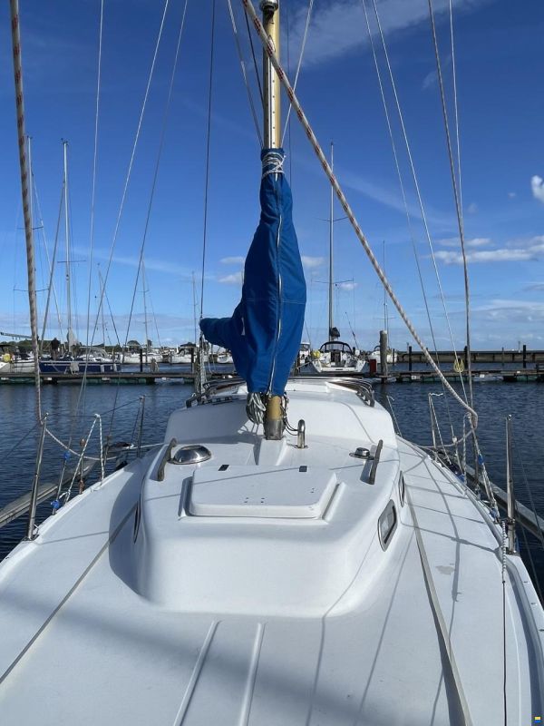 Albin Vega 27