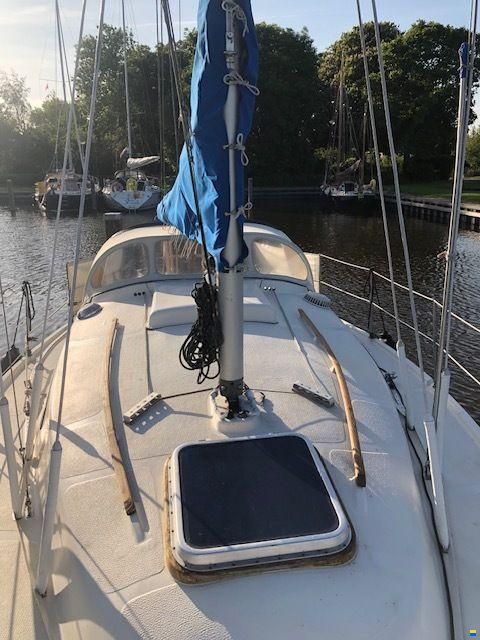 Arabesque 30