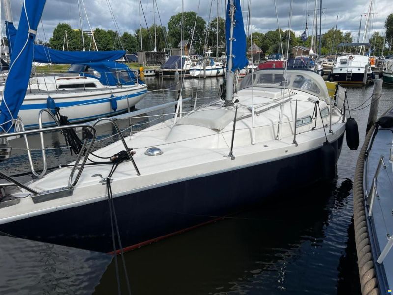 Arabesque 30