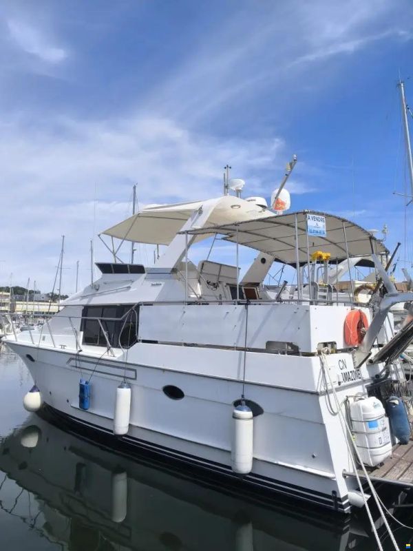 OCEAN ALEXANDER 390