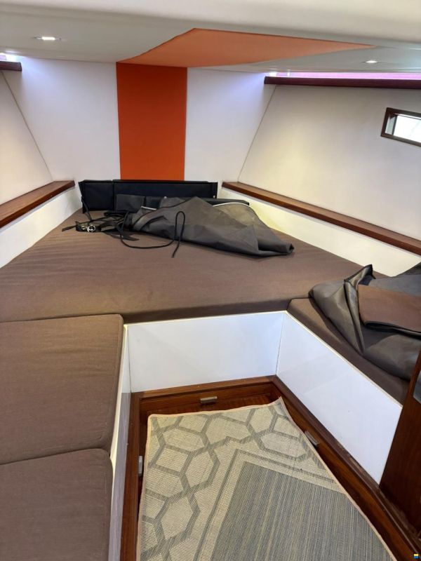 Canelli Revolutio 39