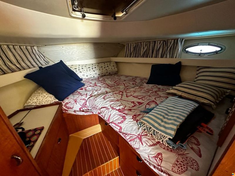 Tiara 3100 Natante