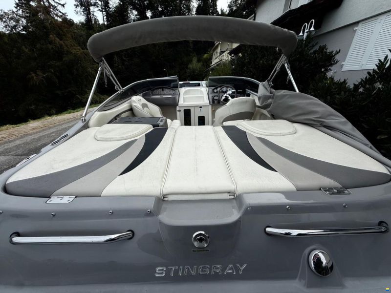 Stingray 225SX