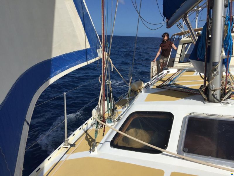 Navalu Faré 42