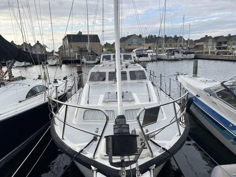 Brofjord 36