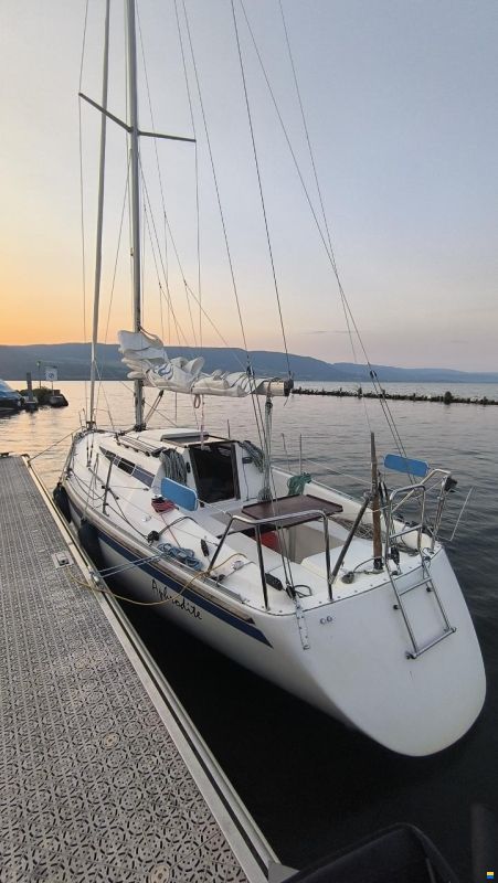 Hanse 291