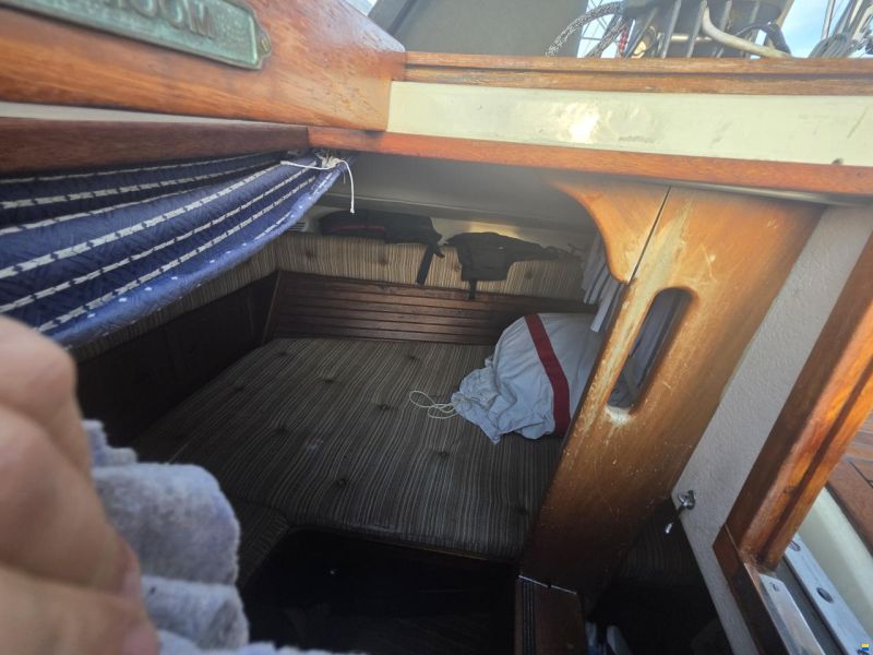Finnsailer 34
