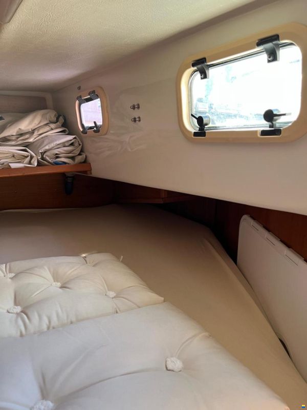 Comfortina 32