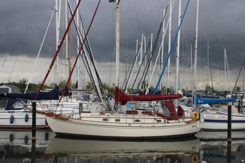 Tayana 37