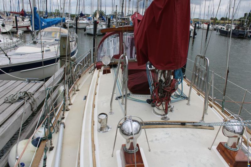 Tayana 37