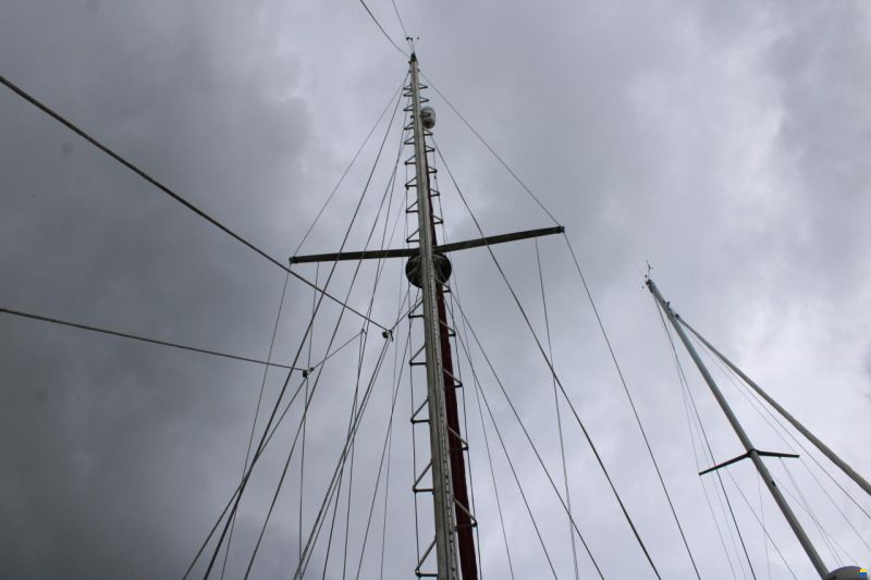 Tayana 37