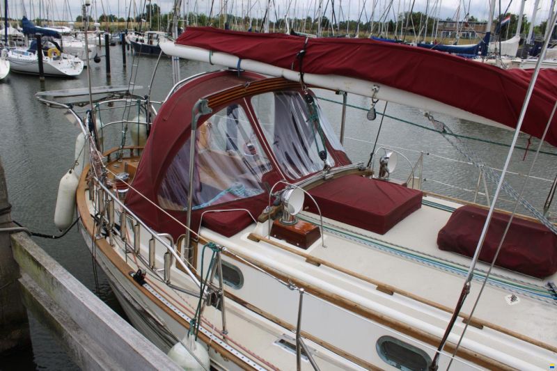 Tayana 37