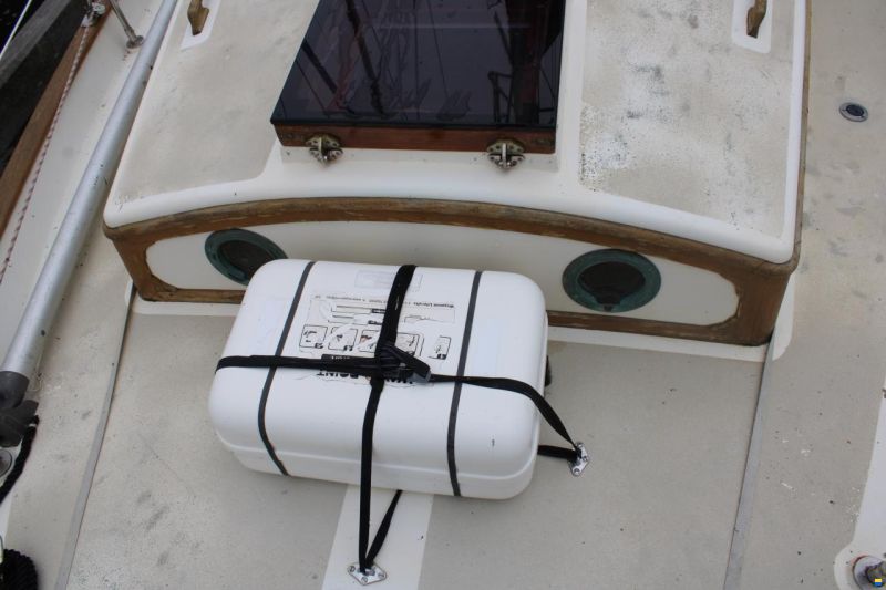 Tayana 37