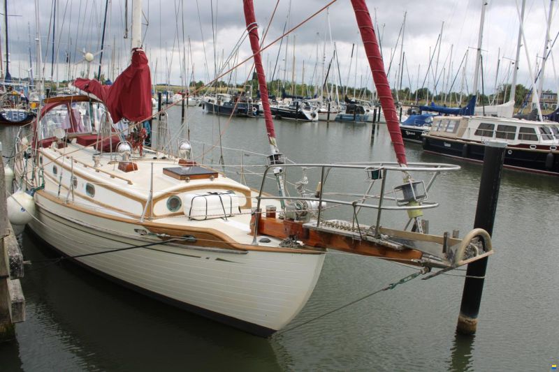 Tayana 37