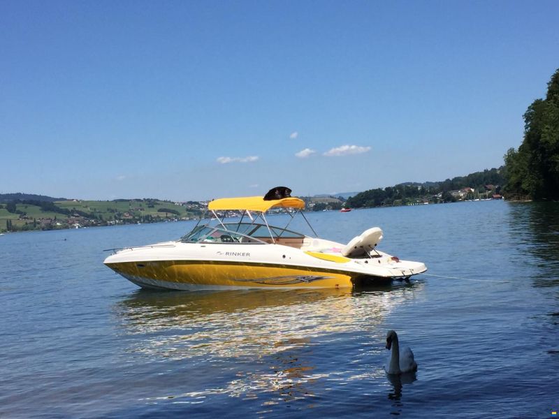 Rinker 262 Captiva Cuddy