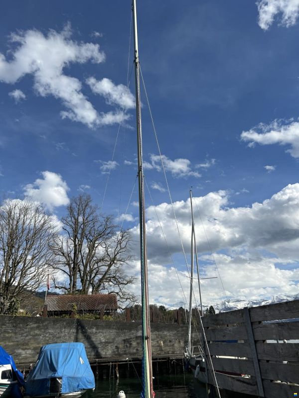 Yachting Selection Flying Fox