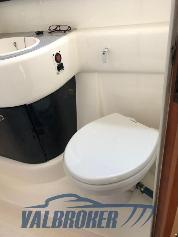 Sealine S 41