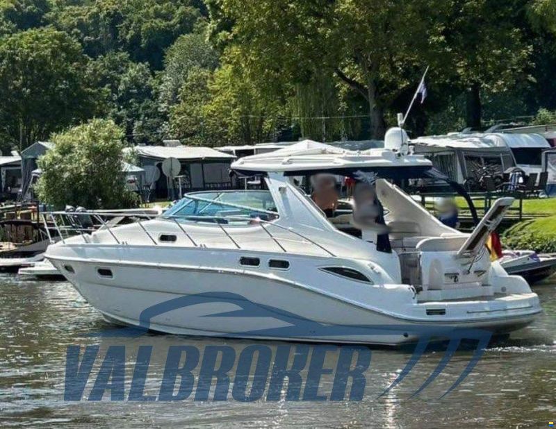 Sealine S 41