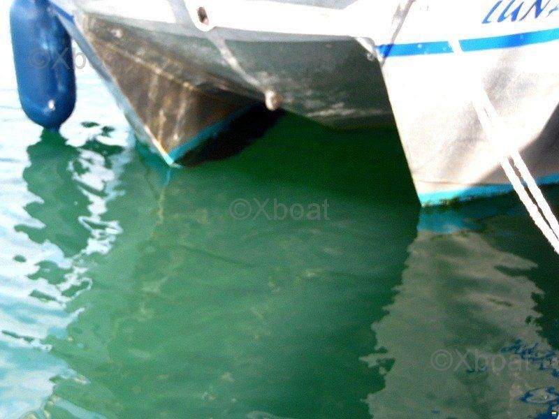 CATAMARAN ALUMINIUM GOSSELIN 8.80M