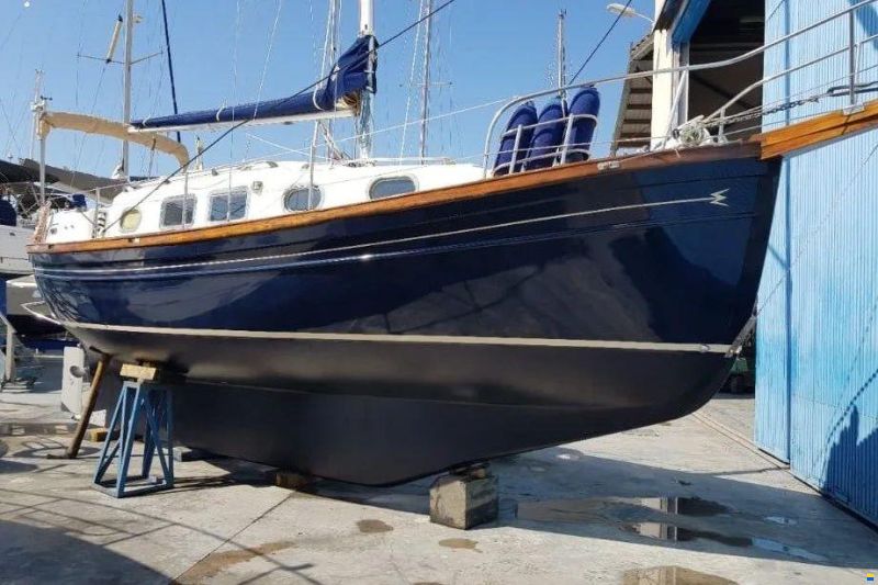 Myabca Delfin 31