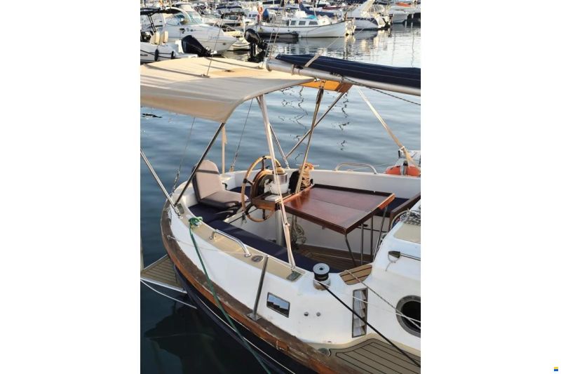 Myabca Delfin 31