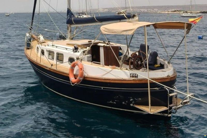Myabca Delfin 31