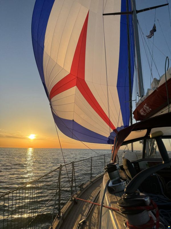 Rex Marin Aphrodite 40