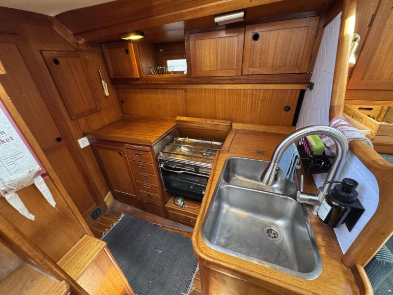 Rex Marin Aphrodite 40