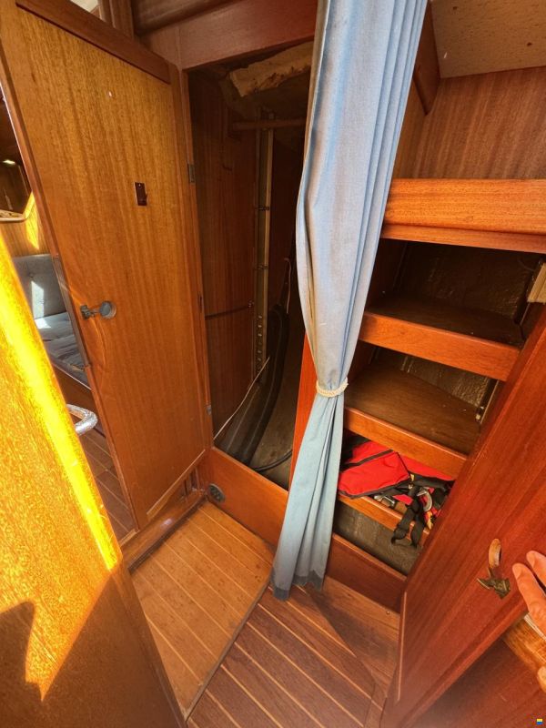 Rex Marin Aphrodite 40