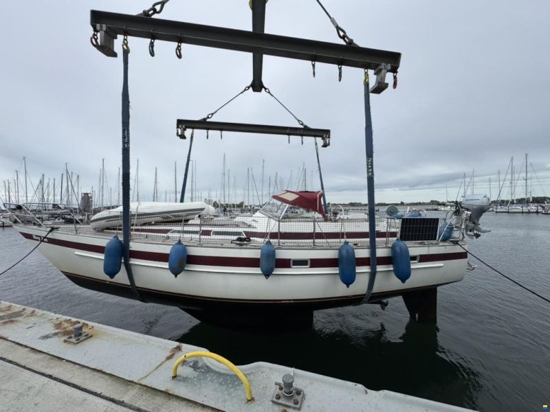 Rex Marin Aphrodite 40