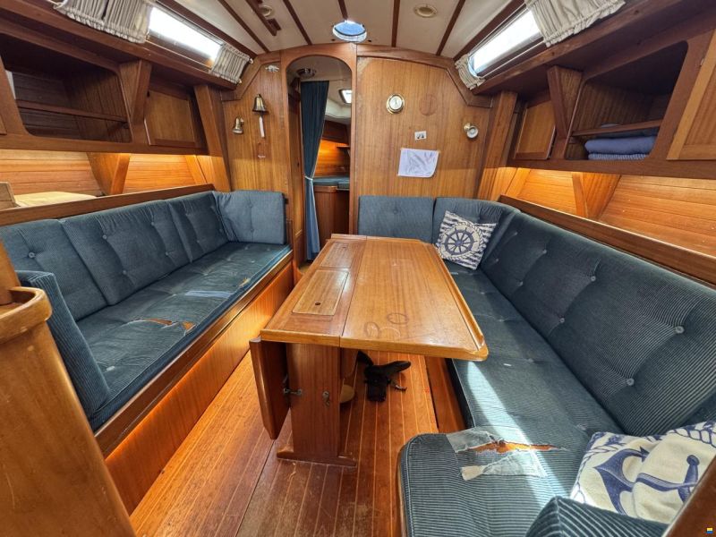 Rex Marin Aphrodite 40
