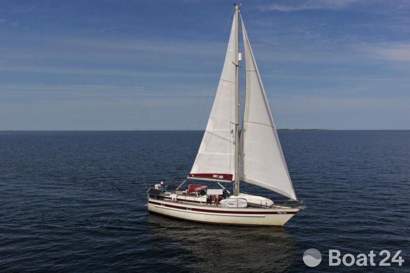 Rex Marin Aphrodite 40