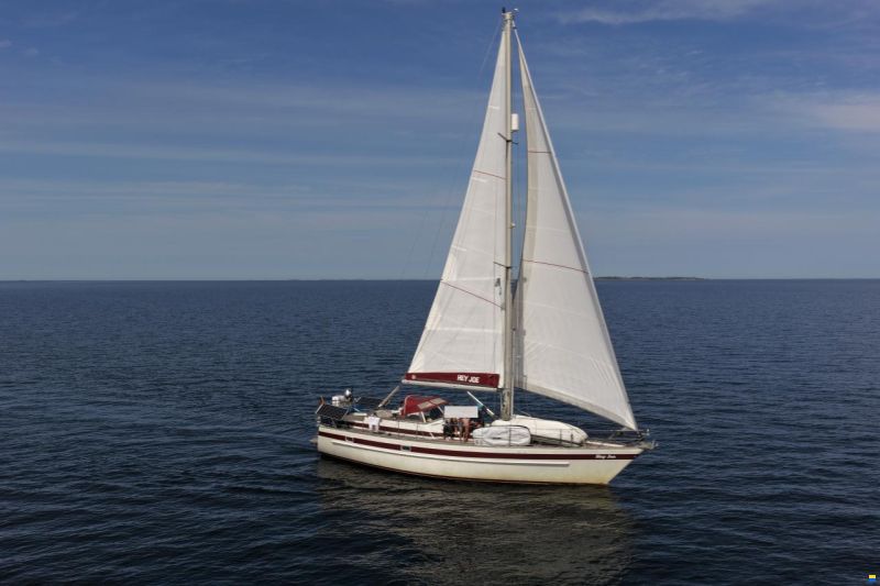 Rex Marin Aphrodite 40