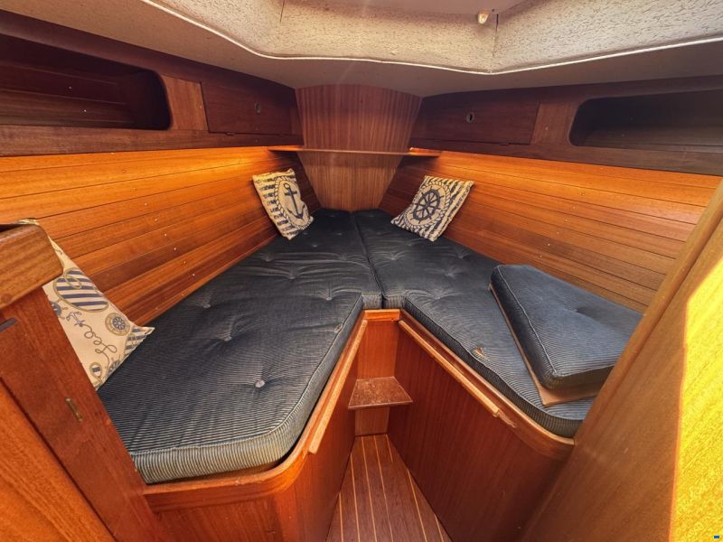 Rex Marin Aphrodite 40