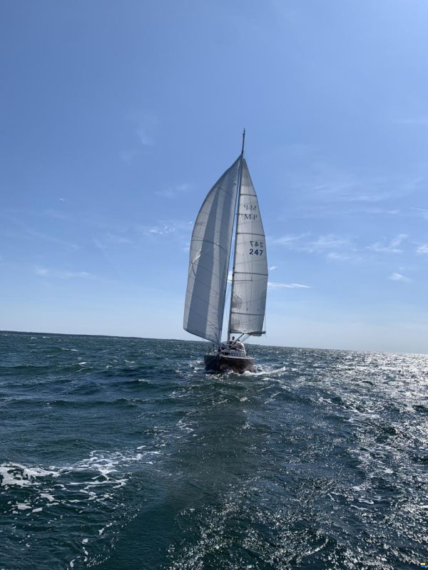 Matthiessen & Paulsen Miglitsch 42