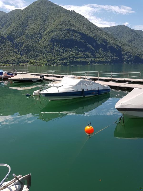 Bayliner Capri 2052