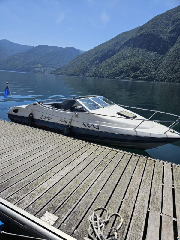 Bayliner Capri 2052