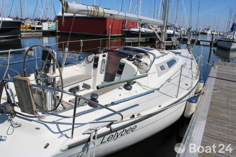 Dehler 30 Top