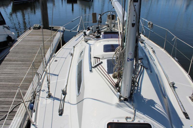 Dehler 30 Top
