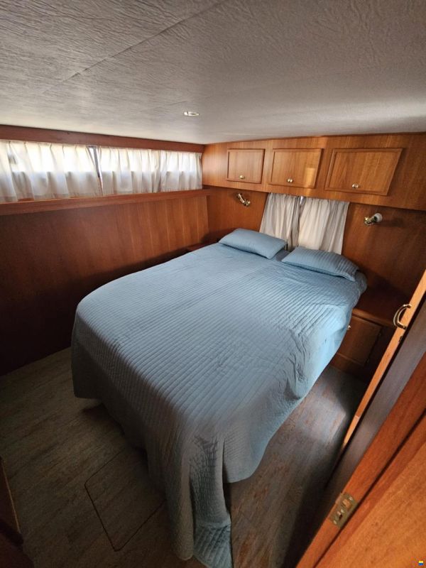 Boarnstream Yachting Boarncruiser NewLine 41