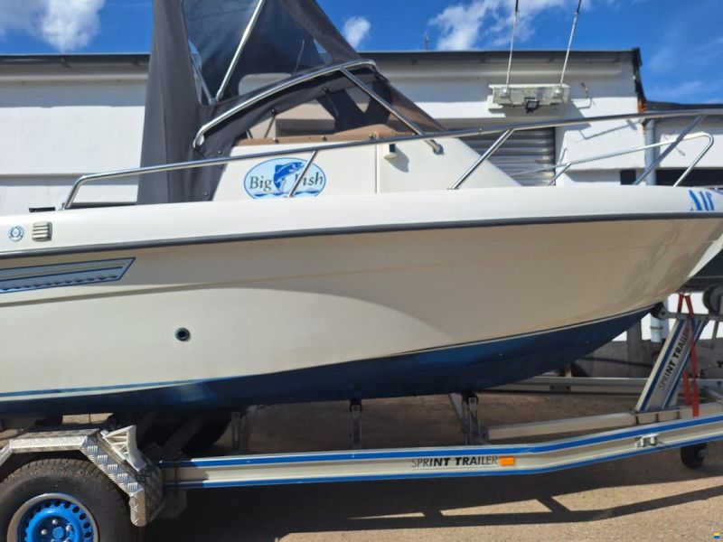 ryds bigfish 600 /70ps