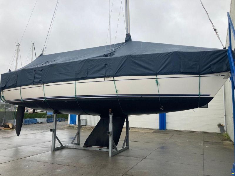 Dehler 37