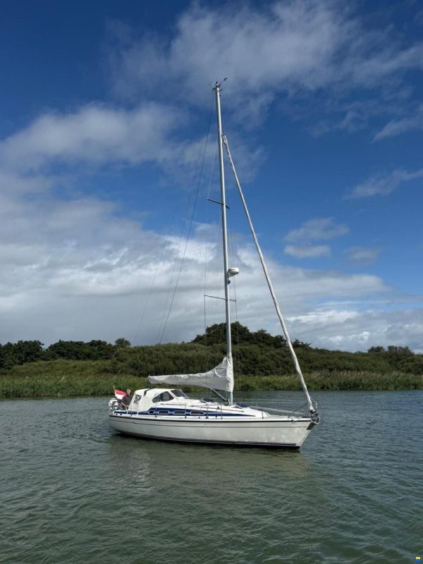 Dehler 37