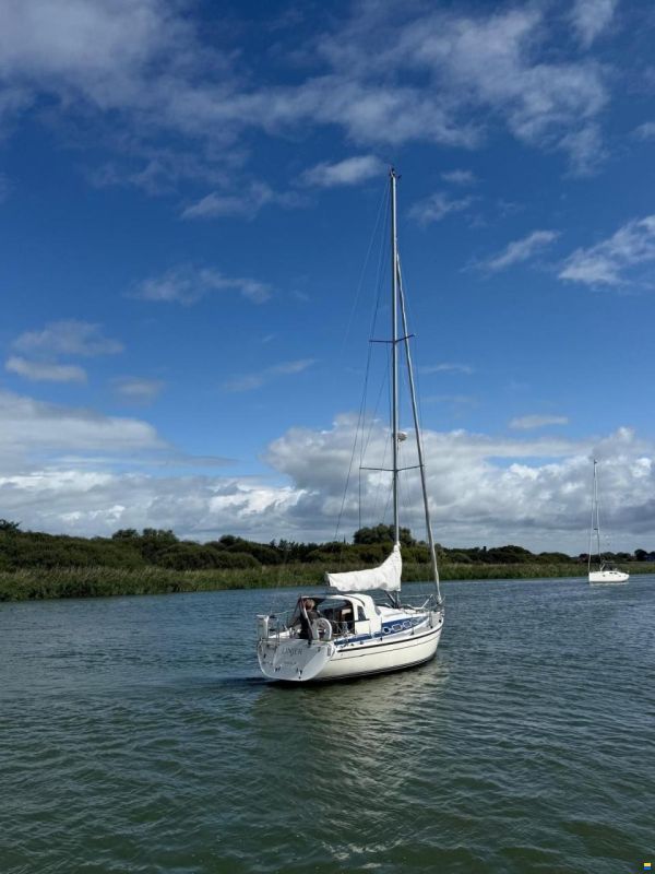 Dehler 37