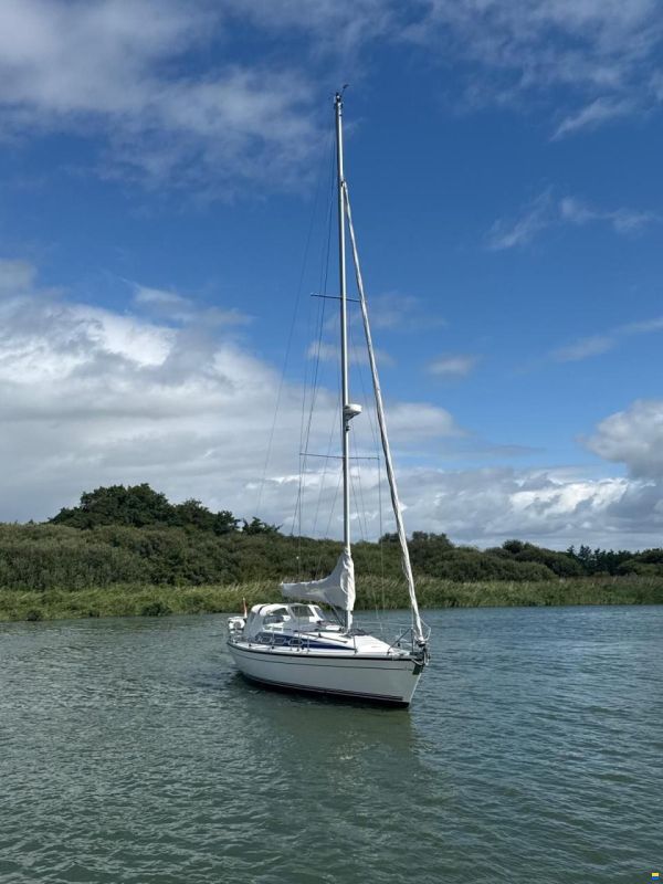 Dehler 37