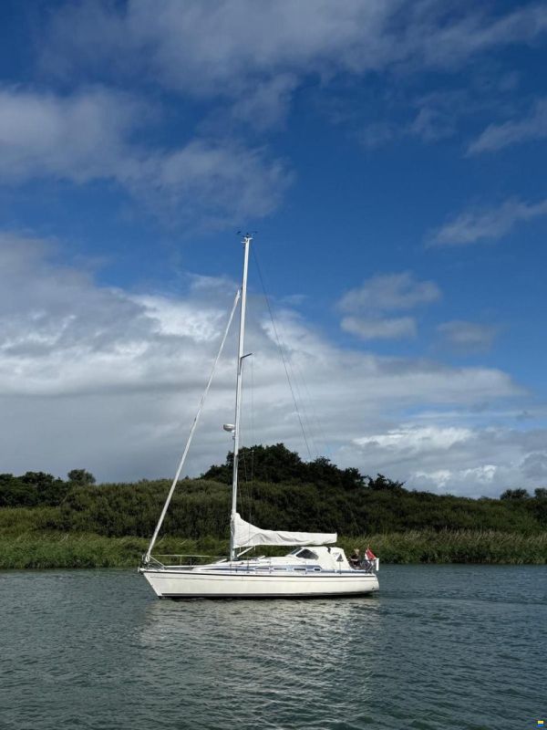 Dehler 37