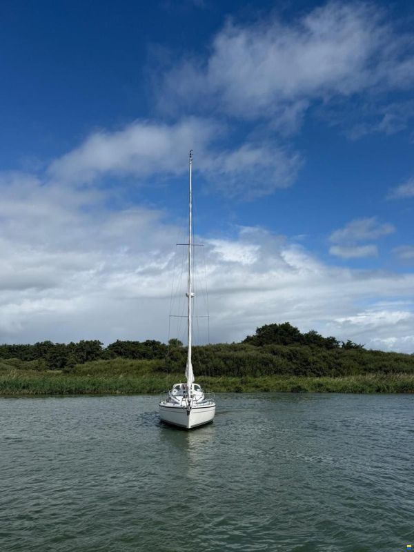 Dehler 37