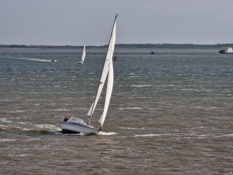Dehler 37