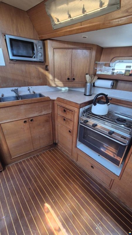 Dromor Triton 48