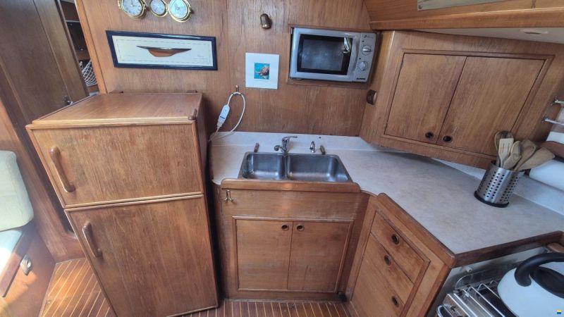 Dromor Triton 48